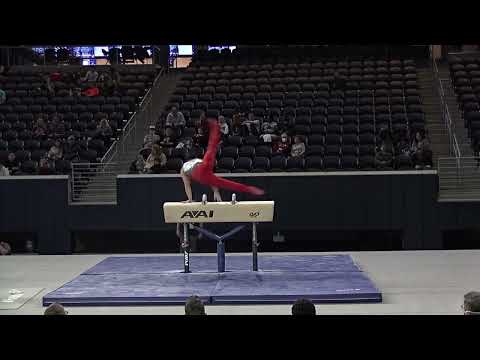 Asher Hong - Pommel Horse - 2022 Winter Cup - Senior Men Day 2