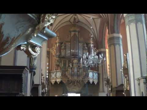 Max Reger - Toccata d - moll. Katedra Frombork