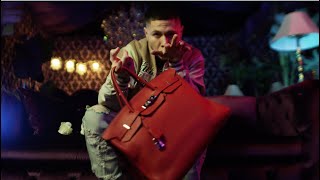 Birkin Music Video