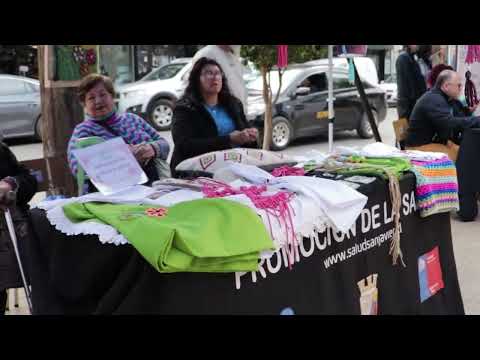 CASA DE SALUD MENTAL LELIKËLEN SAN JAVIER