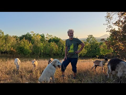 Kad duhovnost postane biznis