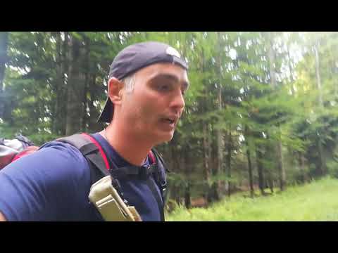 Căminul Alpin - Vf Bucsoiu