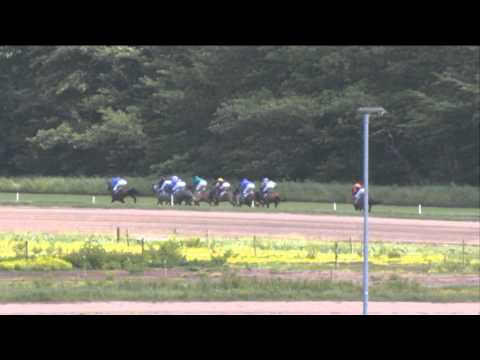 Duindigt 23-06-2013 koers 2