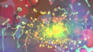 THE PREFAB MESSIAHS - "Orange Room" [Official Music Video]