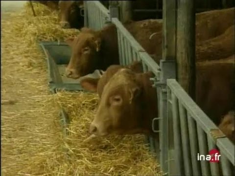 Ja2 20h émission du 29/03/2000