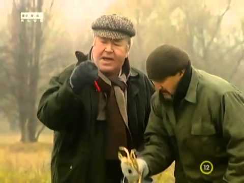 Gálvölgyi show - Turistajelzés festés