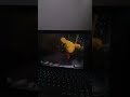 Sesame Street Episode 3201 Ending