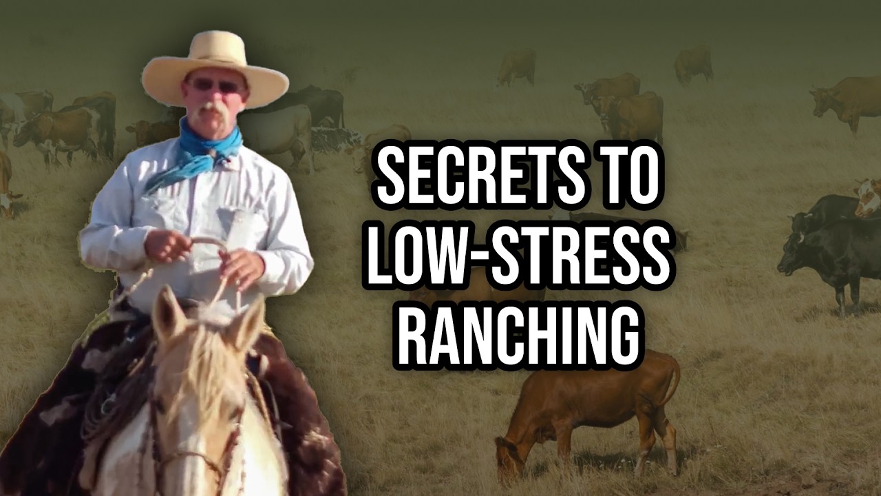 Secrets to Effective Livestock Management: Insights from Bob Kinford Ep. 104