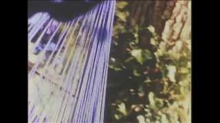 DAY DREAM FOR A FRIEND by Juniper Rising - OFFICIAL VIDEO