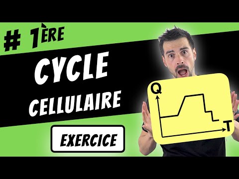 CELL CYCLE? -First SVT-