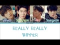 WINNER - REALLY REALLY Color Coded Lyrics [Han/Rom/Eng]