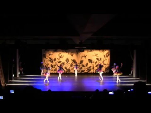 Flora "A força da Mãe Natureza" - Escola de Dança da FUNCEB
