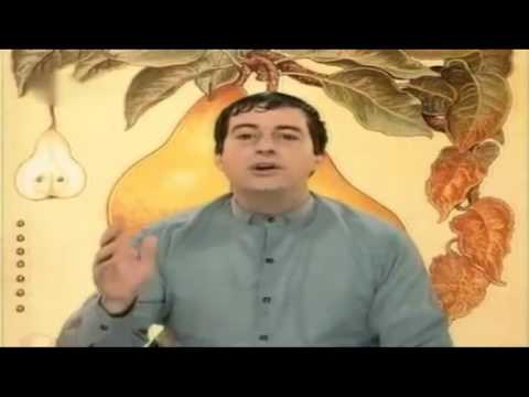 Cha cha cha - Peperino Pomoro (Lujuriosas ciudades) Fabio alberti