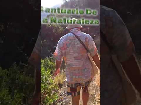 ¿Sabías de éste paraíso? 🤯🤩 Santuario De La Naturaleza🌿 Santiago de CHILE _ Verano 2026