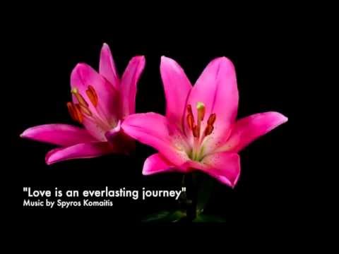 Spyros Komaitis - "Love is an everlasting journey"