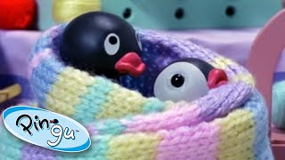 Pingu And His Daily Adventures @Pingu - Official Channel Cartoons For Kids