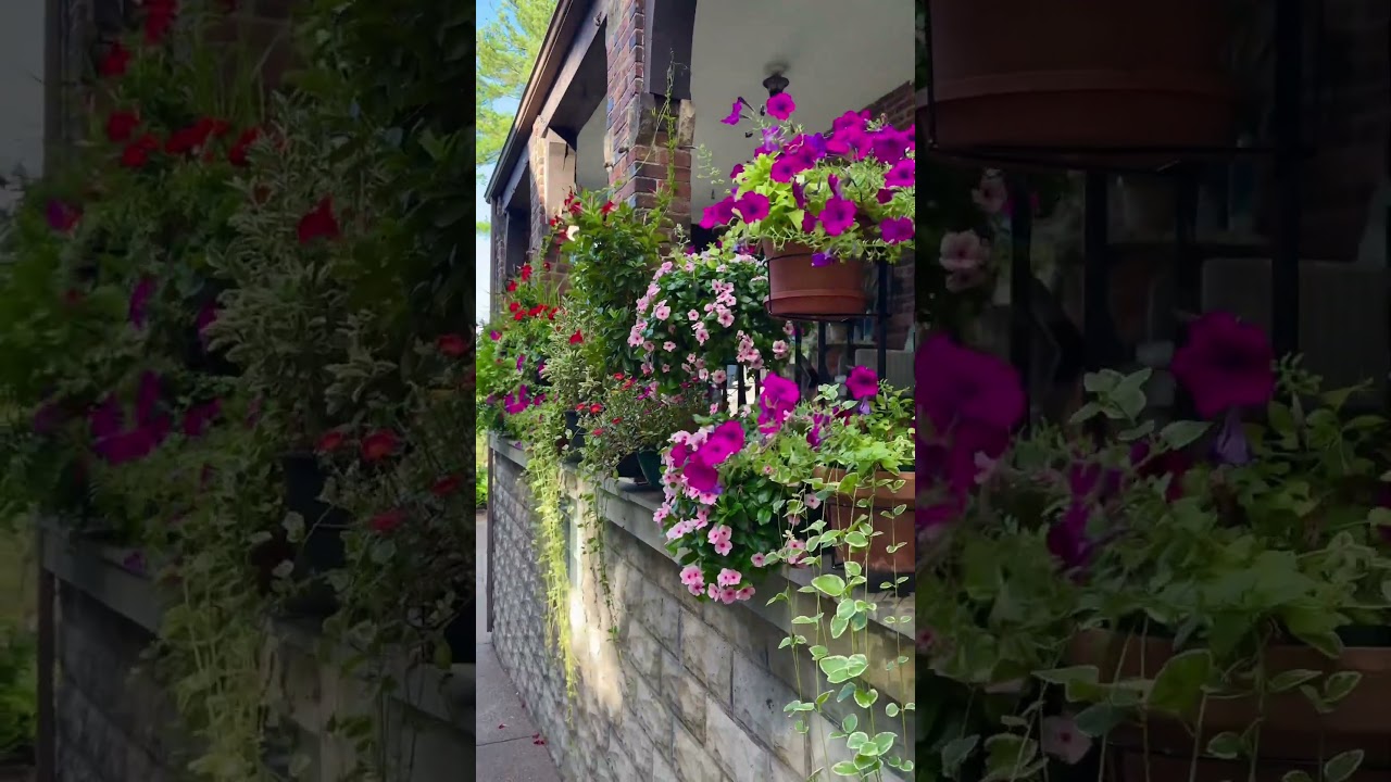 RailScapes Floating Plant Hangers 👉PlantTras.com #gardening #gardeningtips