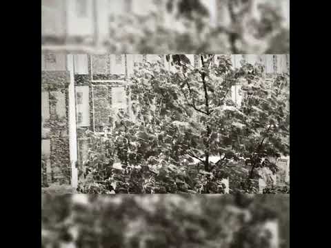 Basharuli Levan. "when it snows"