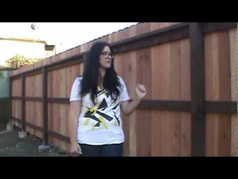 WoodFenceExpert.com video.