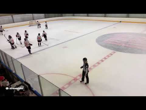 Viikingit/W - KJT Haukat U14 A 15.11.2020