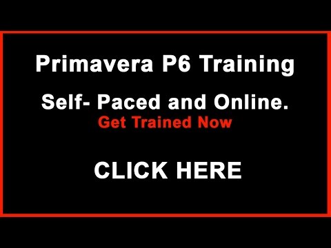 Online Primavera P6 Training - Learn Primavera P6 at  your pace