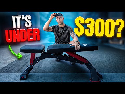 Flybird WB7 Adjustable Bench Review: Budget Bench or Real Deal?