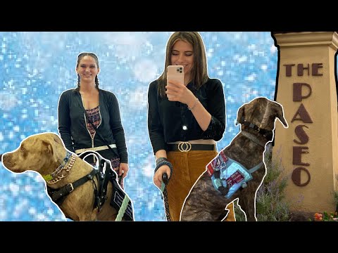 YouTube video about: Can a great dane be a service dog?