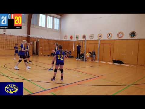 Salpis Tigers - Salpis