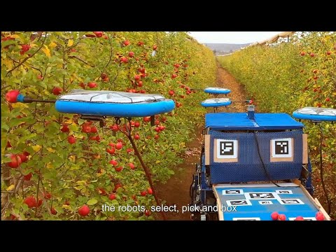 Die meisten befriedigenden landwirtschaftlichen Maschinen und Geräte