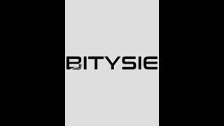 bitysieシースル水着