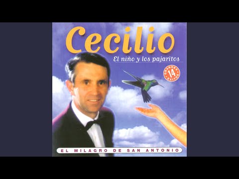 El Niño y los Pajaritos