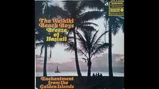 The Waikiki Beach Boys - Breeze of Hawaii, Side 1
