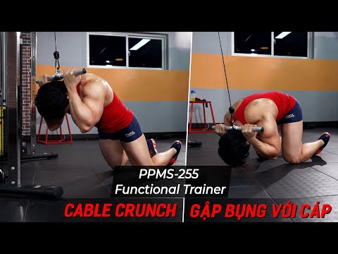 PPMS 255 Cable Crunch - Gập Bụng Với Cáp - Hướng Dẫn Tập Funcional