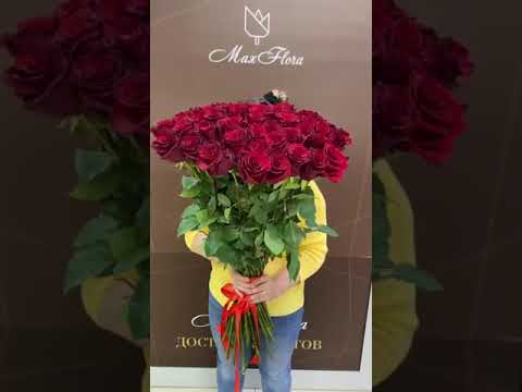51 Роза Эквадор 80 см от maxflorabuket.ru доставка цветов по Раменскому