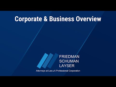 Corporate & Business Overview – Friedman Schuman Law Firm