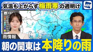 【雨情報】朝の関東は本降りの雨 気温も上がらず梅雨寒の週明け