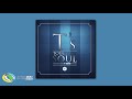 T Bose Real Love Official Audio