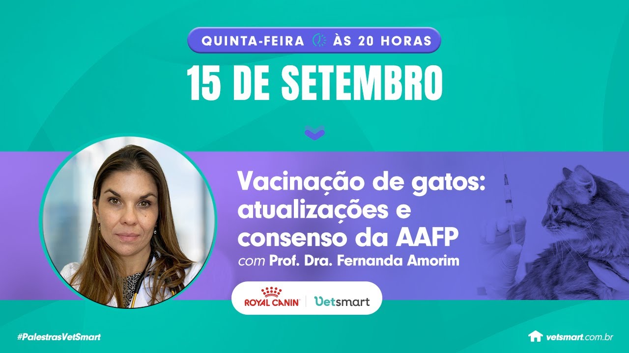Vacinação de gatos: atualizações e consenso da AAFP