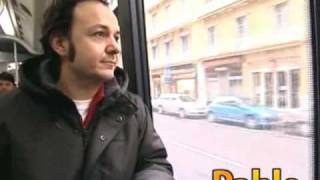 Tulipan- Amaia Montero