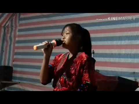 Khuv xim lub neej dhau los