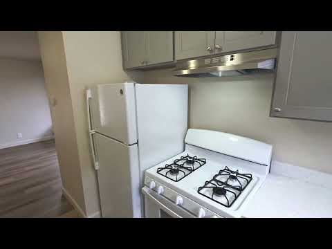 playa - Video 2 of 2