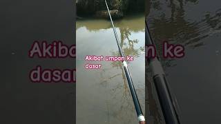 Download lagu zona mancing #viralsong #mancing #fishing #spotnilaliar mp3 Download lagu zona mancing #viralsong #mancing #fishing #spotnilaliar mp3