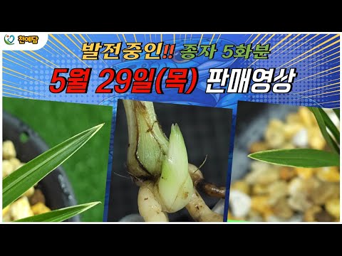유튜브 썸네일