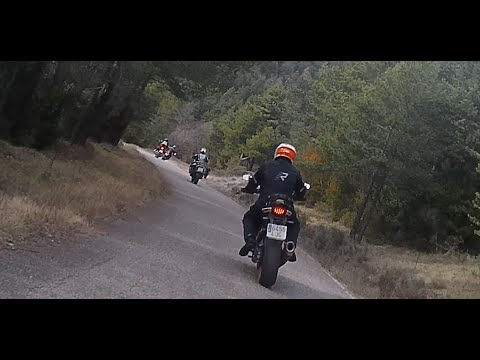 Sortida a Castellar de N'Hug.
