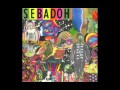 Sebadoh - Pink Moon (Nick Drake cover)