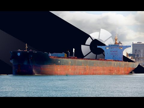 Fortuna International | CARGO HOLD CLEANING