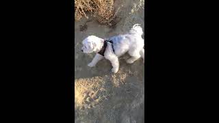 The Odin Hour - Climbing a mountain