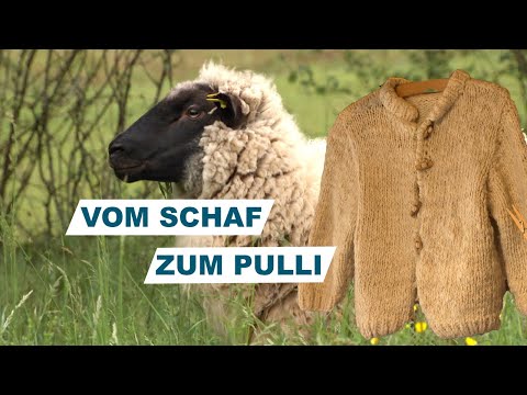 , title : 'Von der Wolle zum Pullover | Handwerkskunst | SWR Kindernetz'