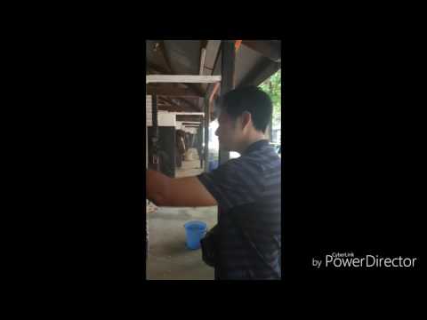 Penang turf club tour