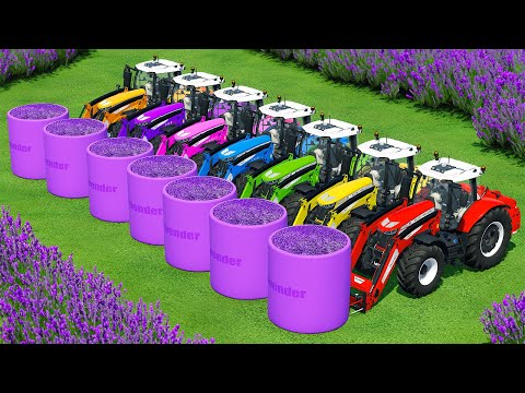 HARVEST, LOAD & MAKE LAVENDER BALES WITH MASSEY FERGUSON TRACTORS & JOHN DEERE HARVESTERS - FS22